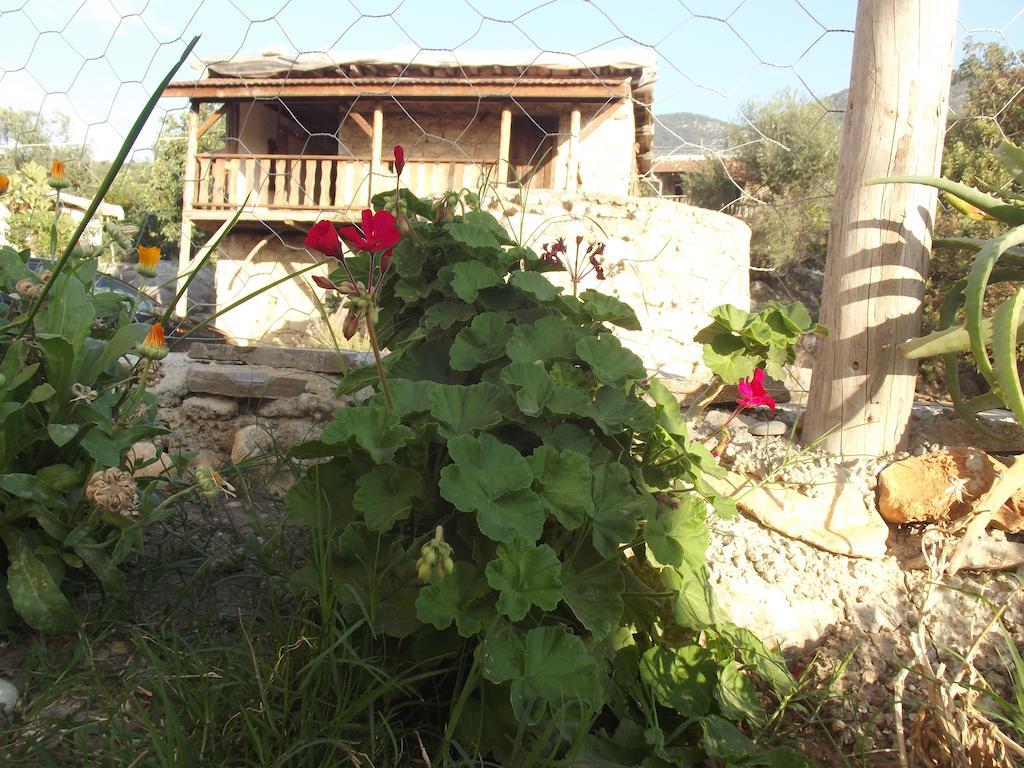 Beymelek Tas Evler Casa de hóspedes Demre Exterior foto