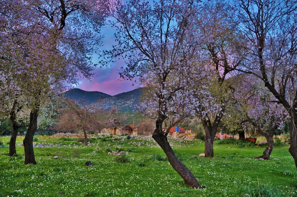 Beymelek Tas Evler Casa de hóspedes Demre Exterior foto