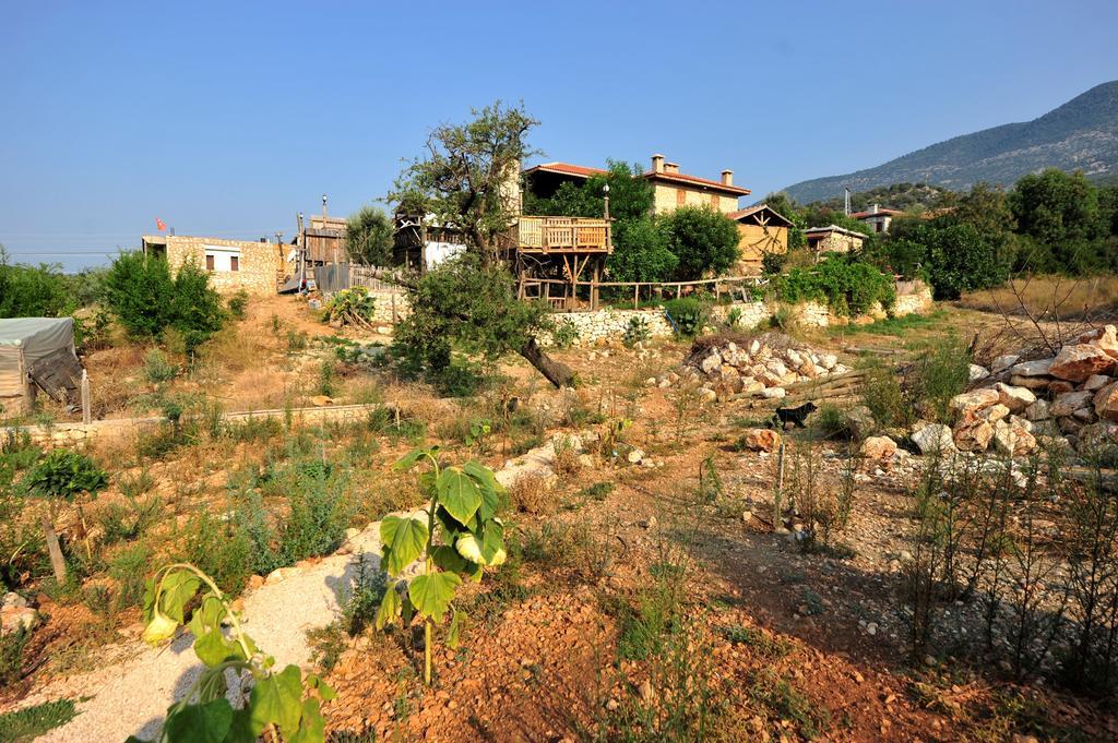Beymelek Tas Evler Casa de hóspedes Demre Exterior foto